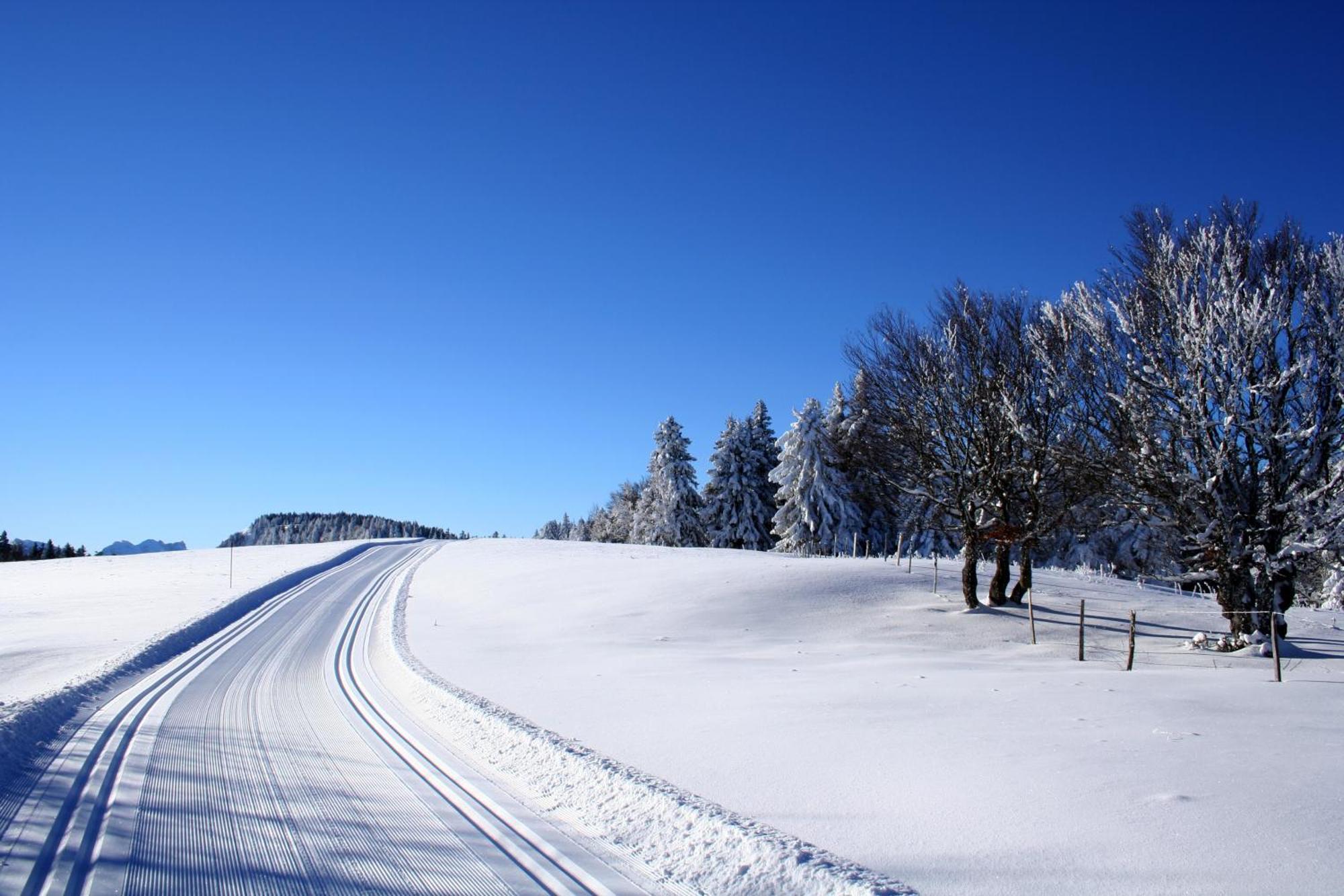 Logis Le Vernay Autrans-Meaudre-en-Vercors Esterno foto